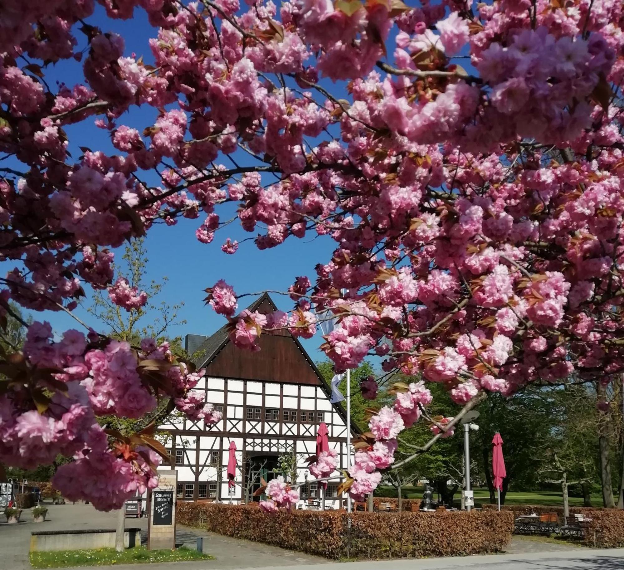 Hotel Restaurant Hof Hueck Bad Sassendorf Buitenkant foto